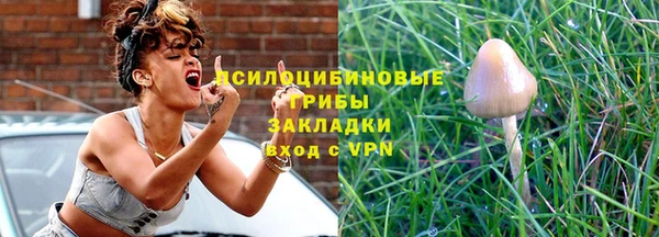 гидра Гусь-Хрустальный