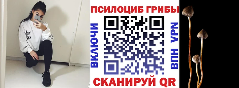 Псилоцибиновые грибы Psilocybine cubensis  Пестово 